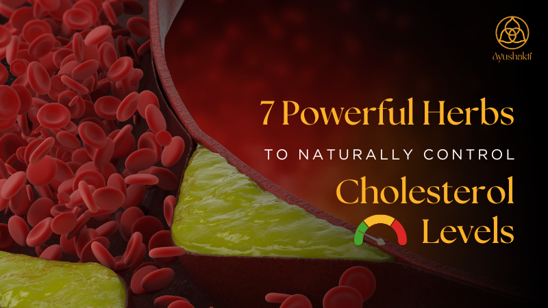 7 Powerful Herbs to Naturally Control Cholesterol Levels