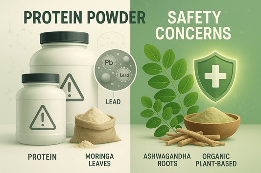 Is Your Protein Powder Safe? The Hidden Danger of Lead Contamination