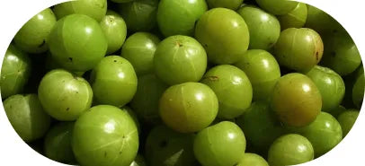 Amla