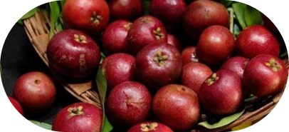 Kokum