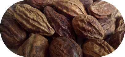 Triphala