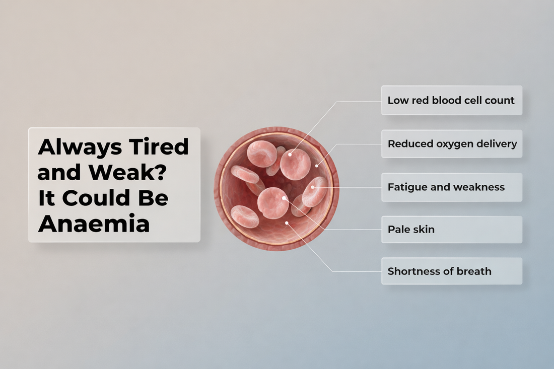 Always Tired and Weak? It Could Be Anaemia