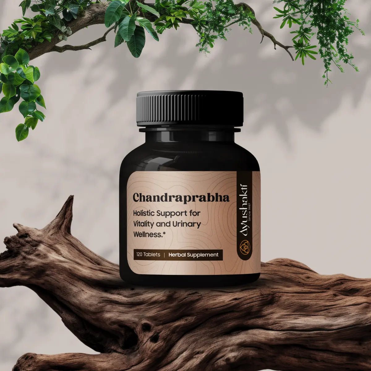 CHANDRAPRABHA VATI (120 TAB).
