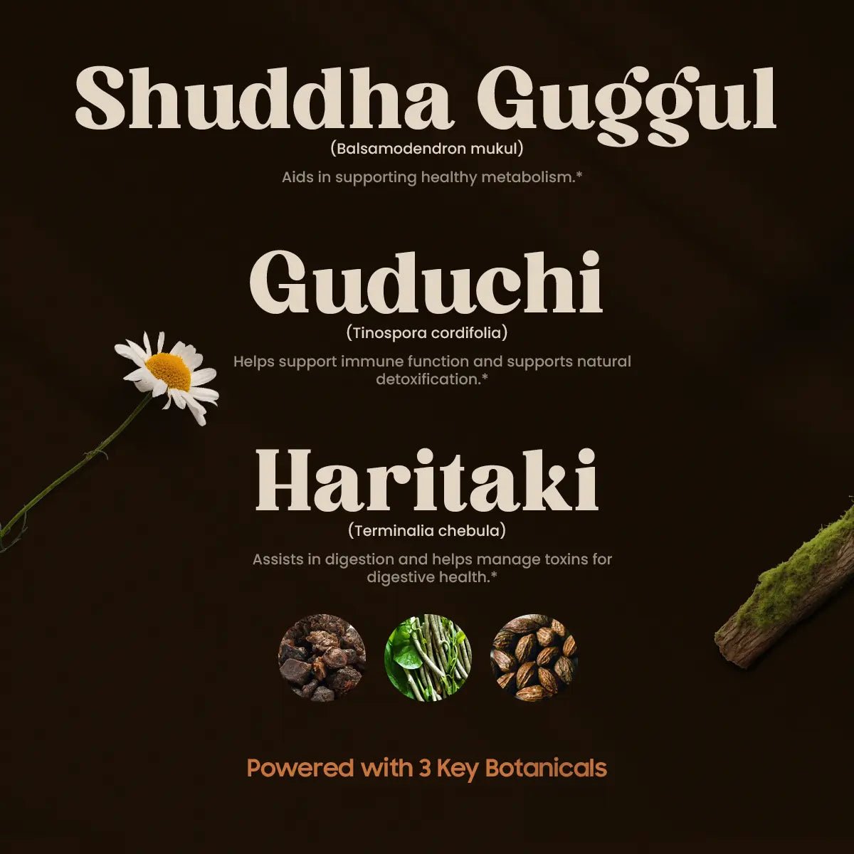 CHANDRAPRABHA VATI (120 TAB).