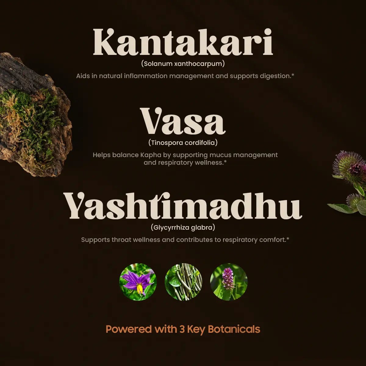 DIVYASWAS JIVAN INGREDIENTS