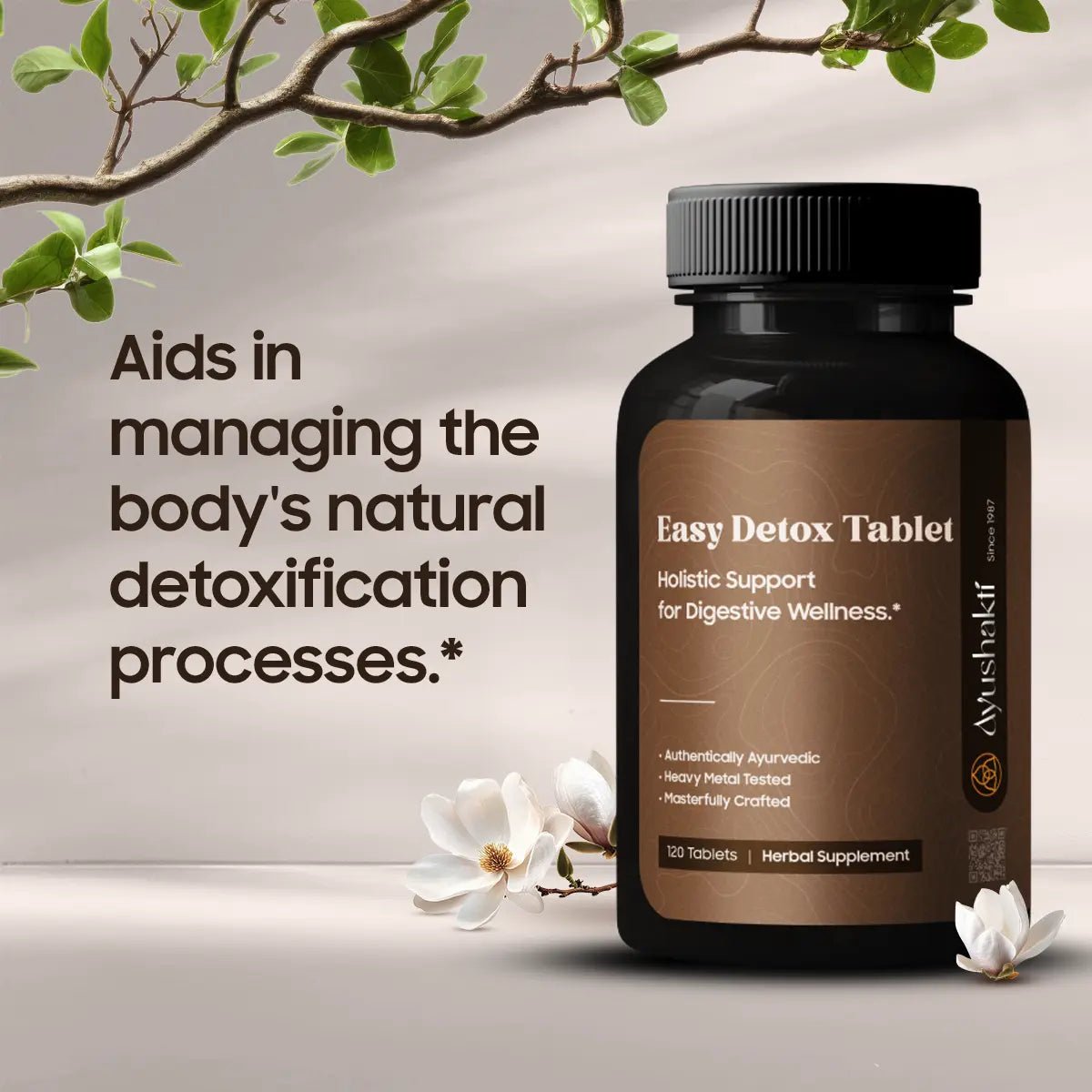 EASYDETOX (120 TABLET)