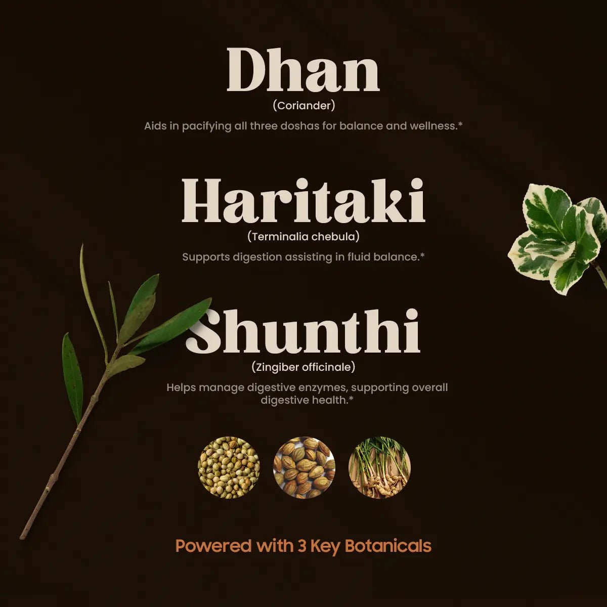 GASMUKTI INGREDIENTS