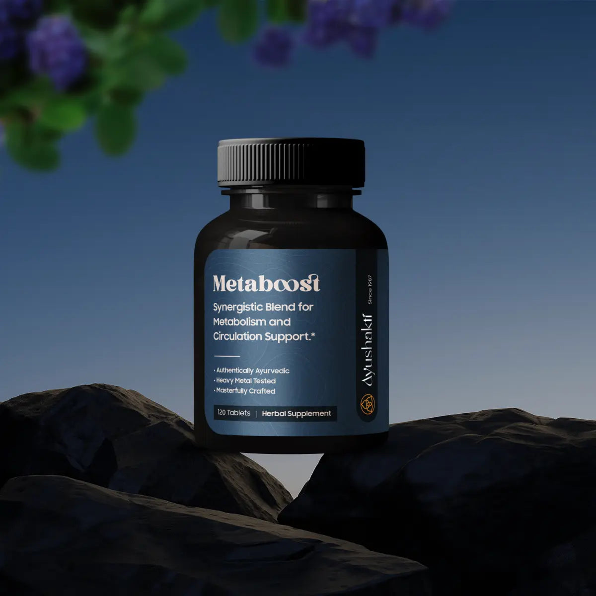METABOOST (120 TAB )