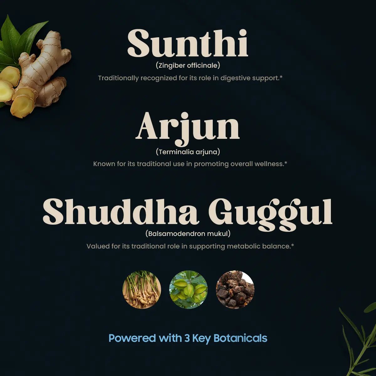 METABOOST INGREDIENTS