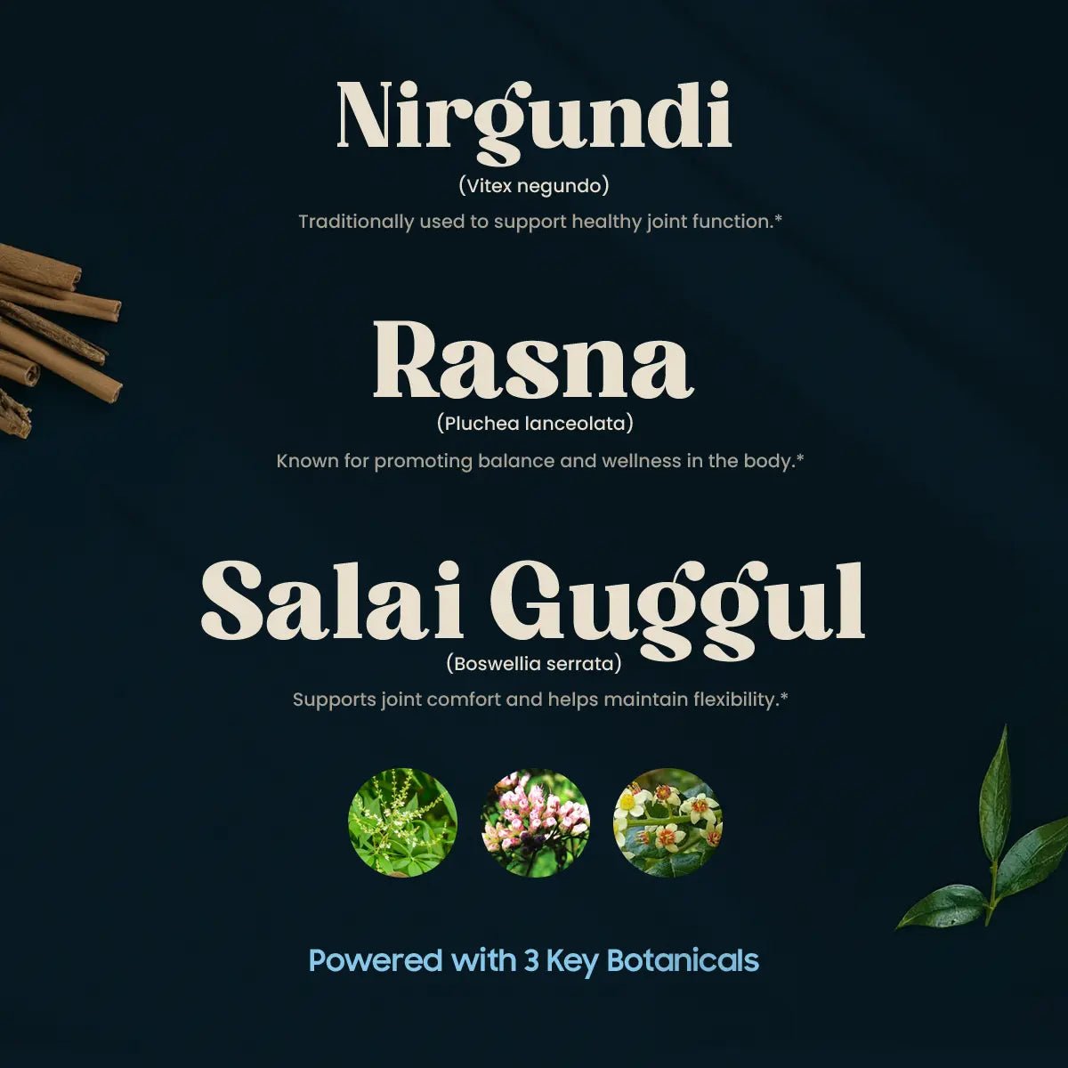 PAINMUKTI M.J. (30 TAB).