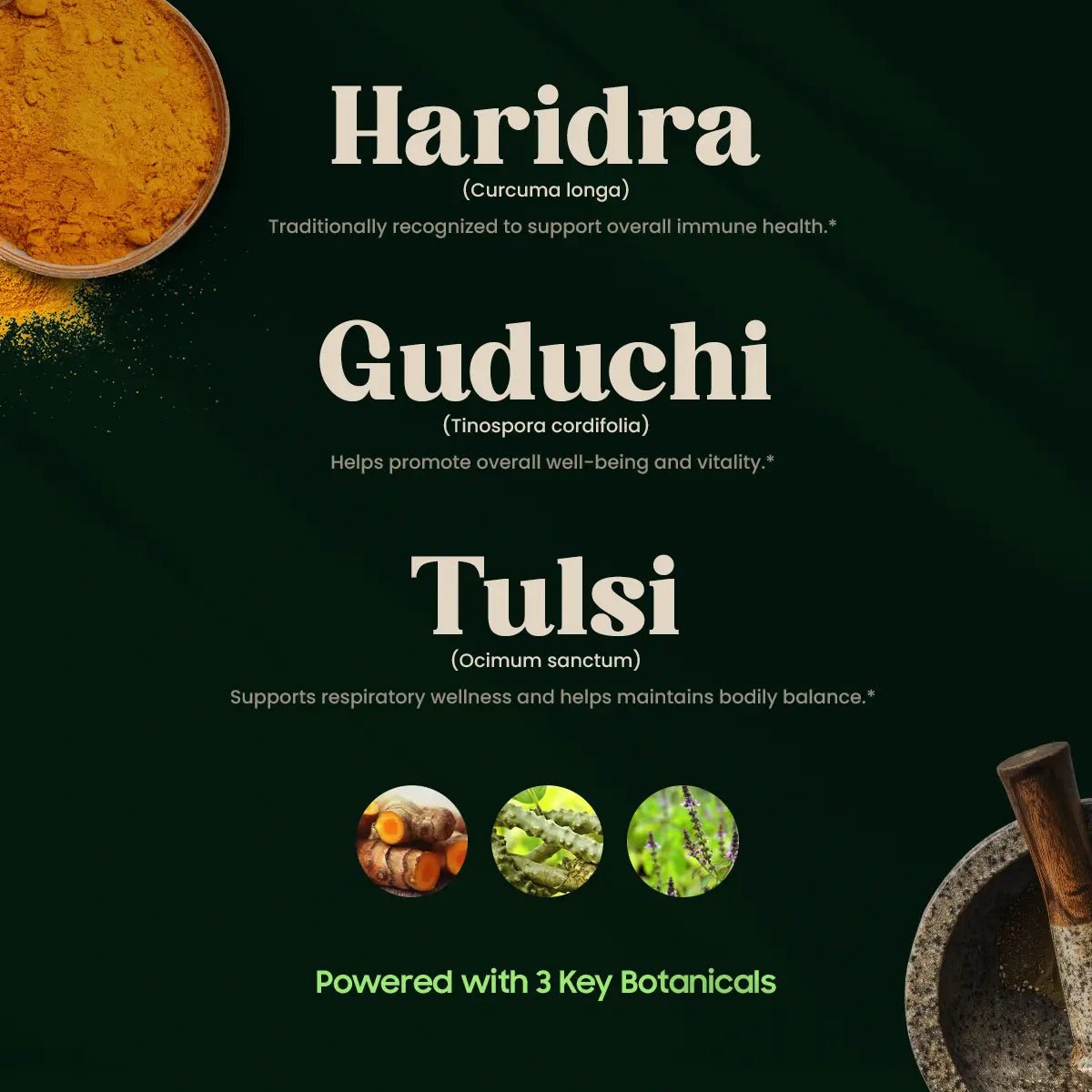 PRATISHAKTI INGREDIENTS