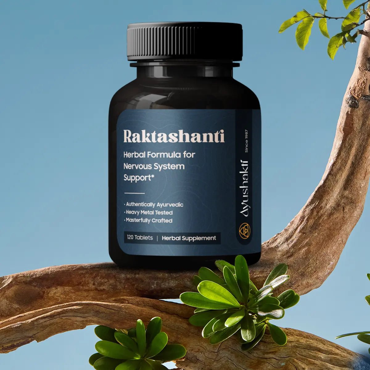 Raktashanti Herbal Supplement