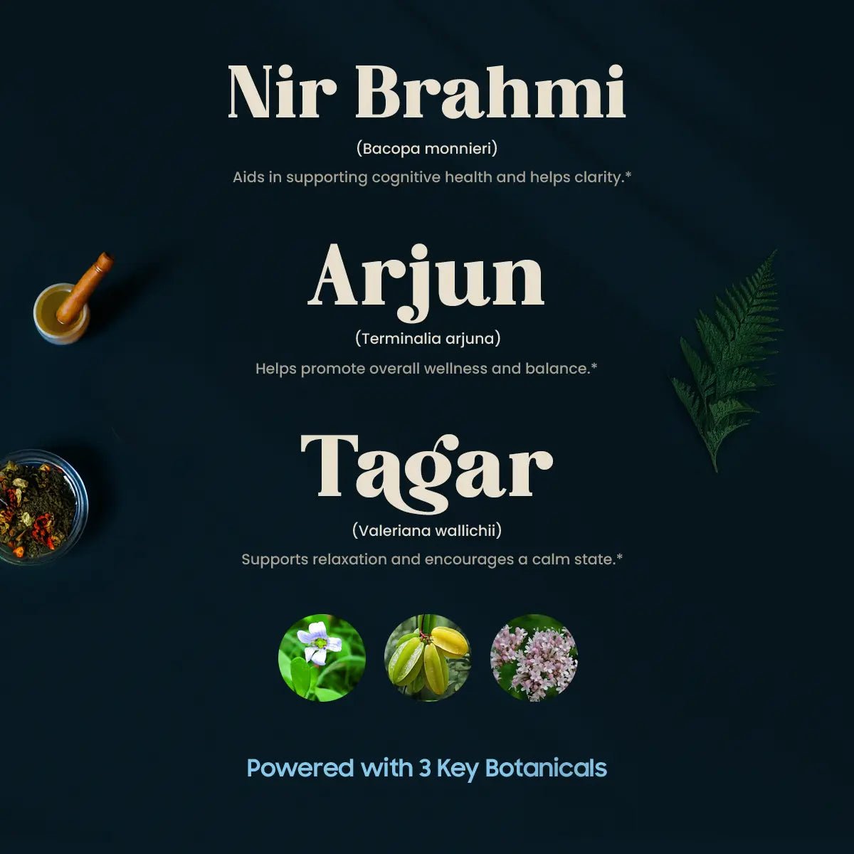 Raktashanti 3 Key Botanicals