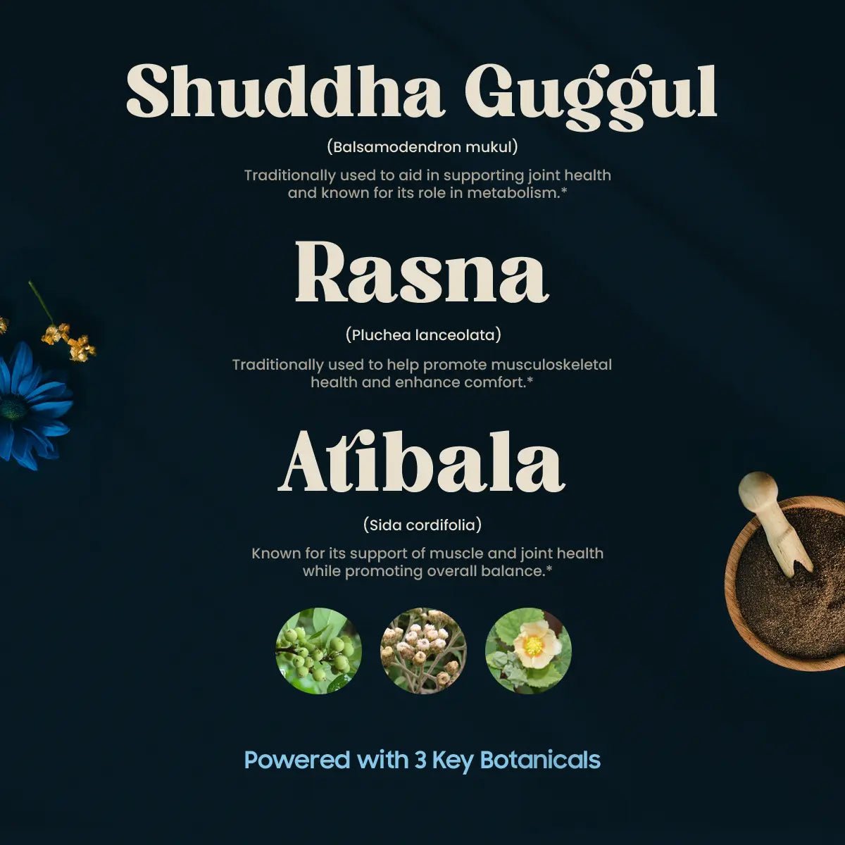 SANDHIYOG INGREDIENTS