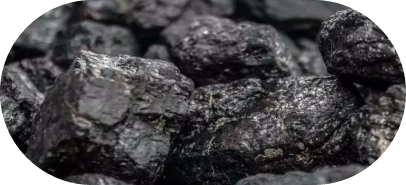 Shilajit 