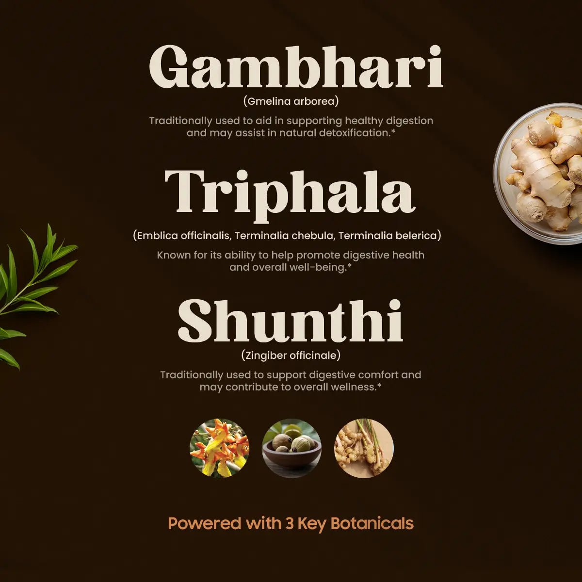 TOXIGO INGREDIENTS (60 TABLETS).