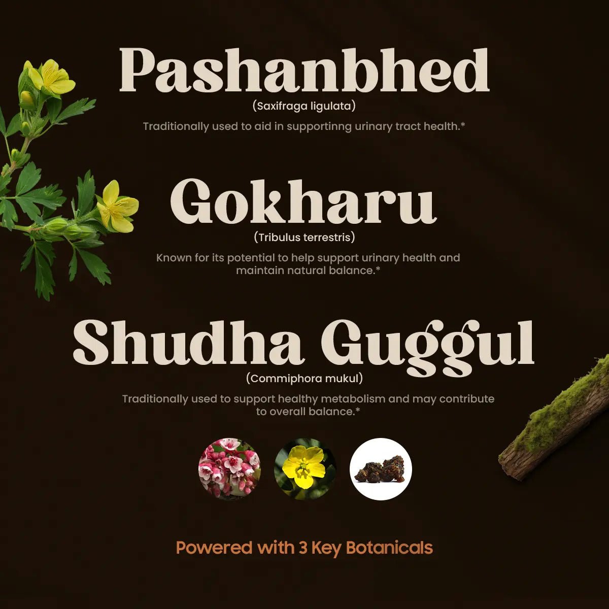 URITONE ingredients (120 TAB).