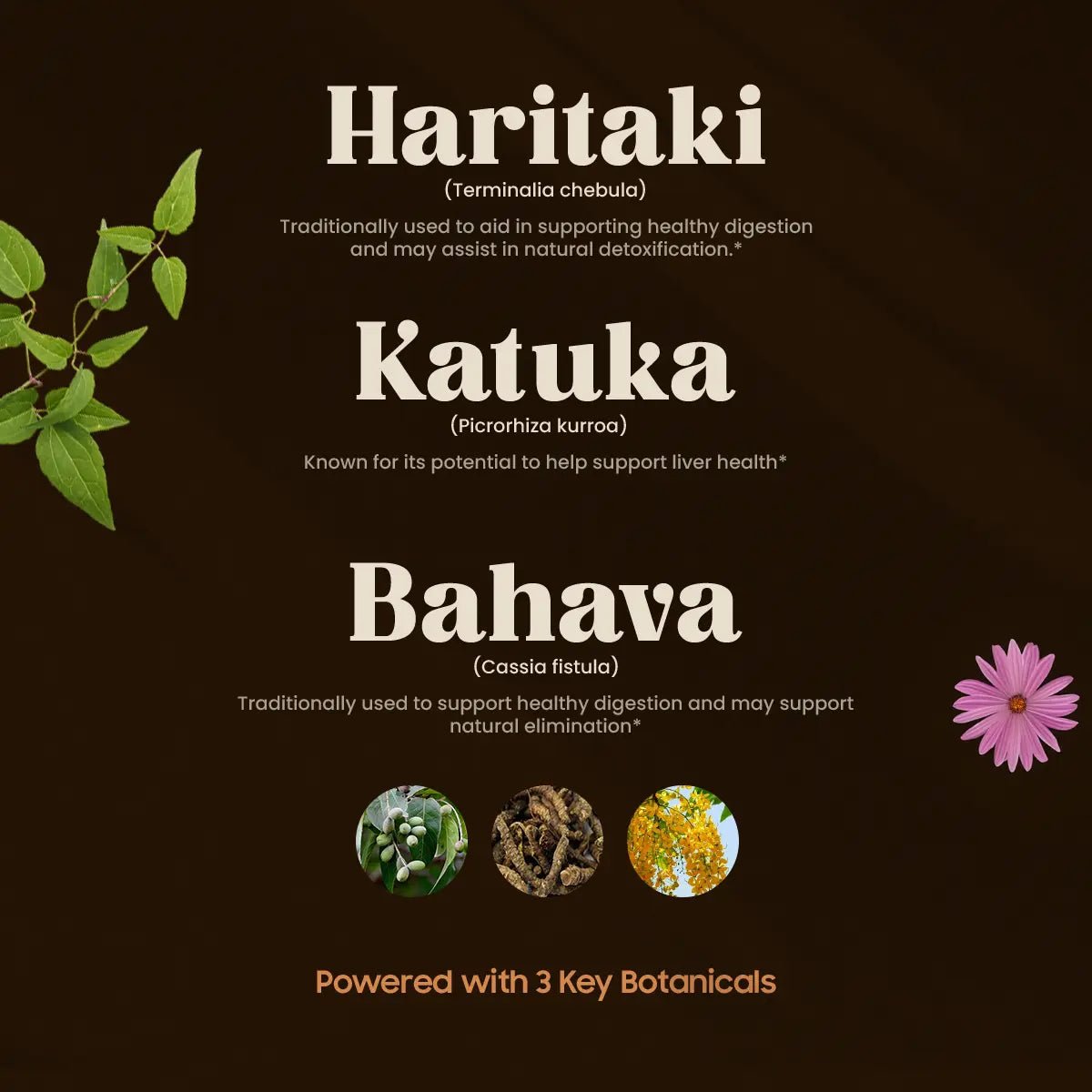 virechan ingredients