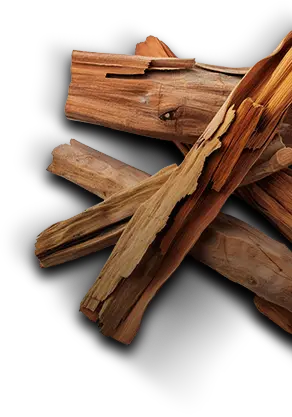 Cinnamon for Natural Healing
