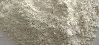 Mukta Shukti Pisti 
