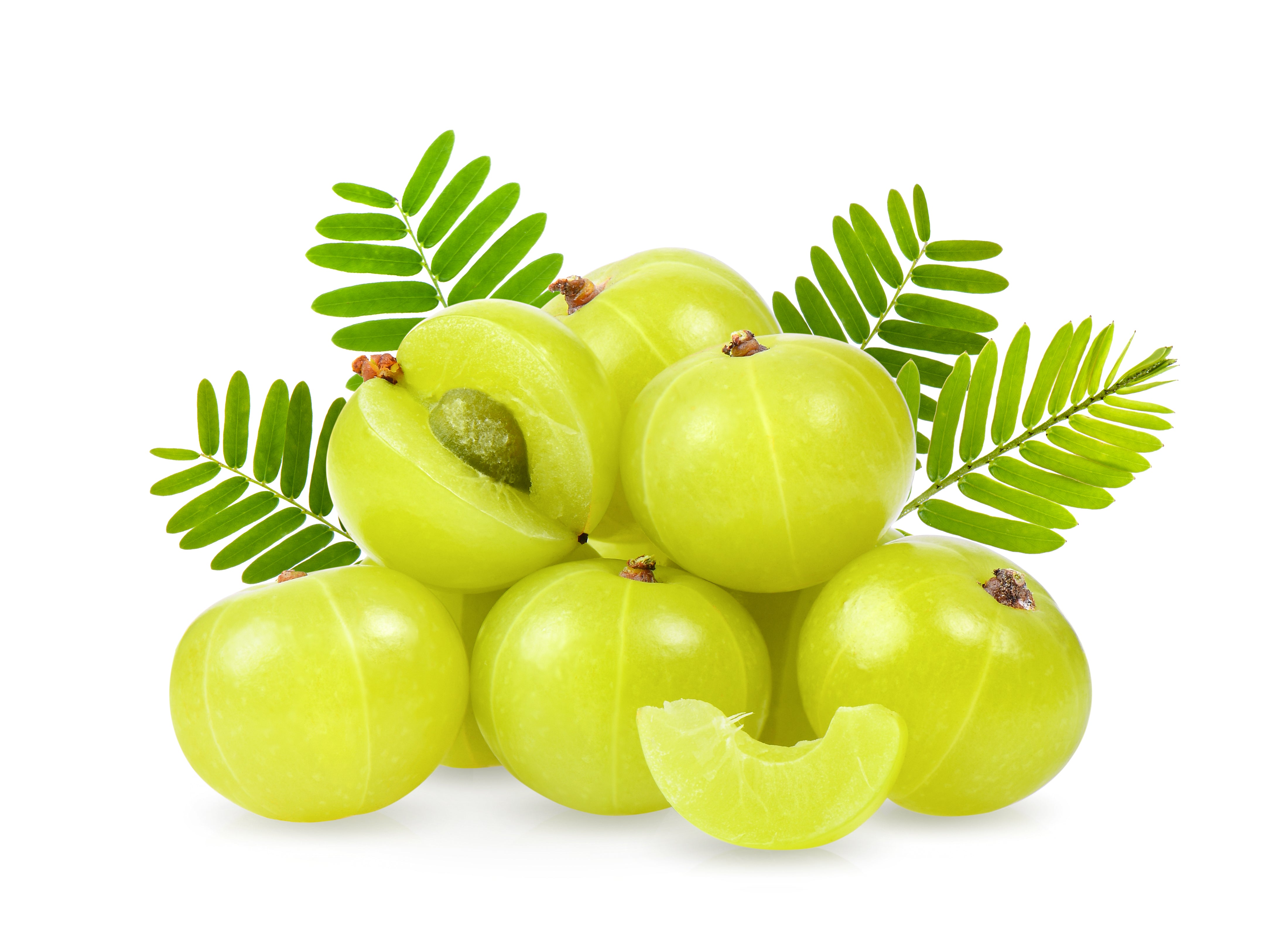  Emblica officinalis (Amla)