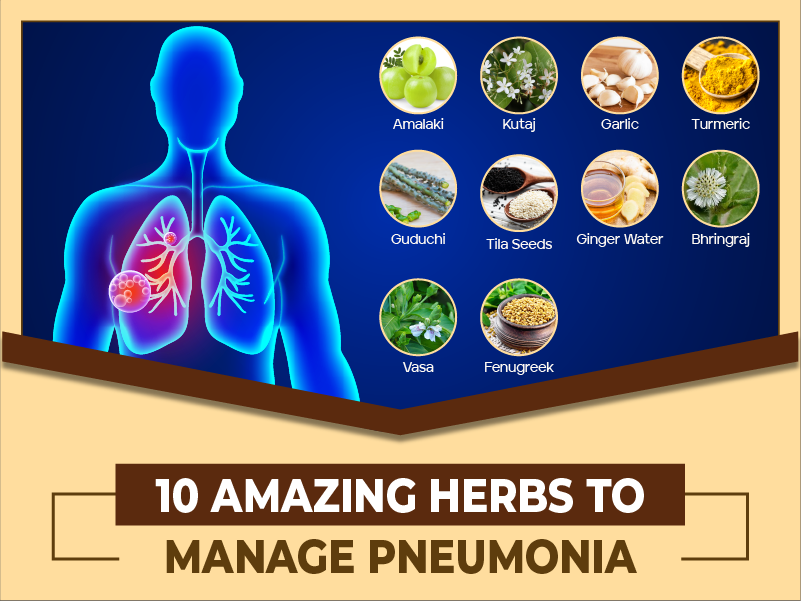 10 Amazing Herbs To Manage Pneumonia