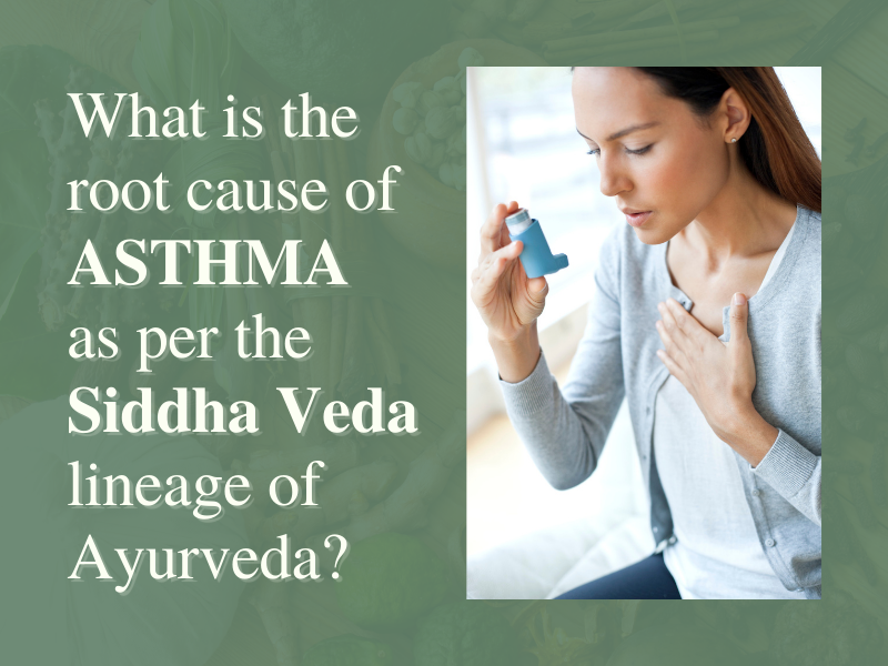 Root cause of ASTHMA as per the Siddha Veda lineage of Ayurveda?