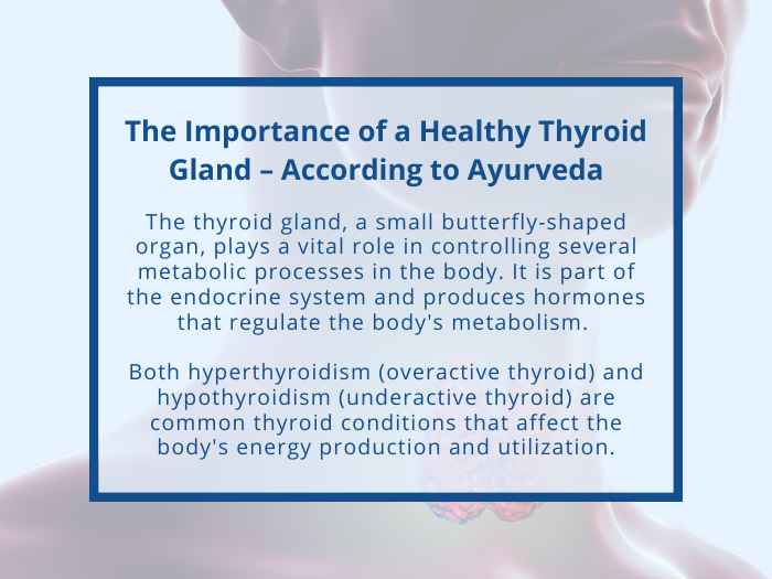 The Importance of a Healthy Thyroid Gland According to Ayurveda